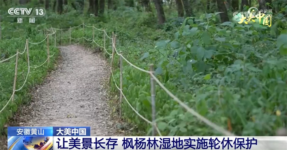 “织绿”、轮休、保护齐发力 绘就“人与自然和谐共生”大美画卷 “织绿”、轮休、保护齐发力 绘就“人与自然和谐共生”大美画卷