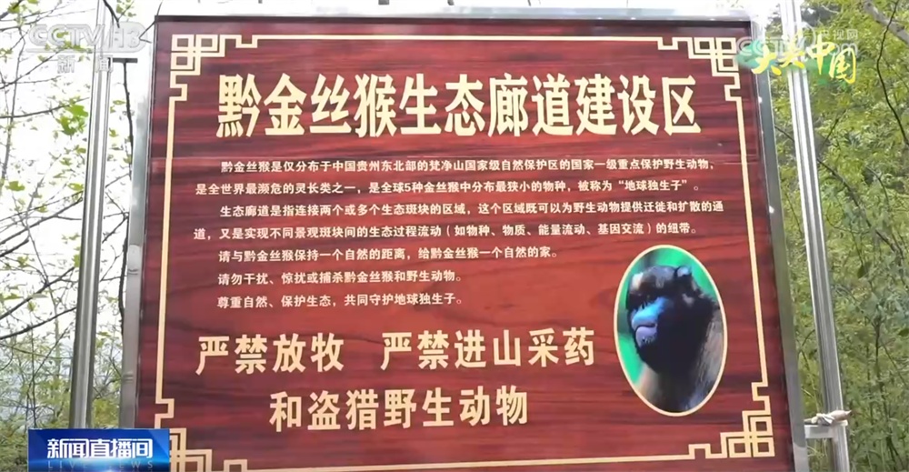 “织绿”、轮休、保护齐发力 绘就“人与自然和谐共生”大美画卷 “织绿”、轮休、保护齐发力 绘就“人与自然和谐共生”大美画卷