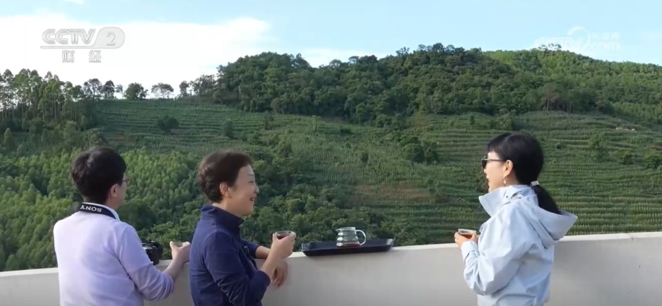 一杯“村咖”解锁乡村旅游“流量密码” 农文旅融合书写乡村振兴“夏日答卷” 一杯“村咖”解锁乡村旅游“流量密码” 农文旅融合书写乡村振兴“夏日答卷”