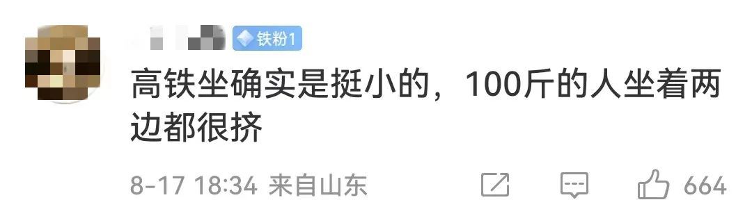 被体型宽大的高铁邻座挤到没法坐……怎么办？在线等！