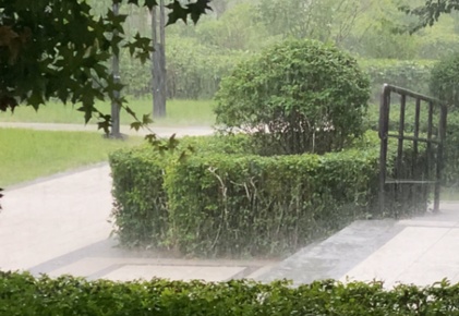 辽宁明起又迎强降雨！致灾气象风险较高，涉及这些地区→