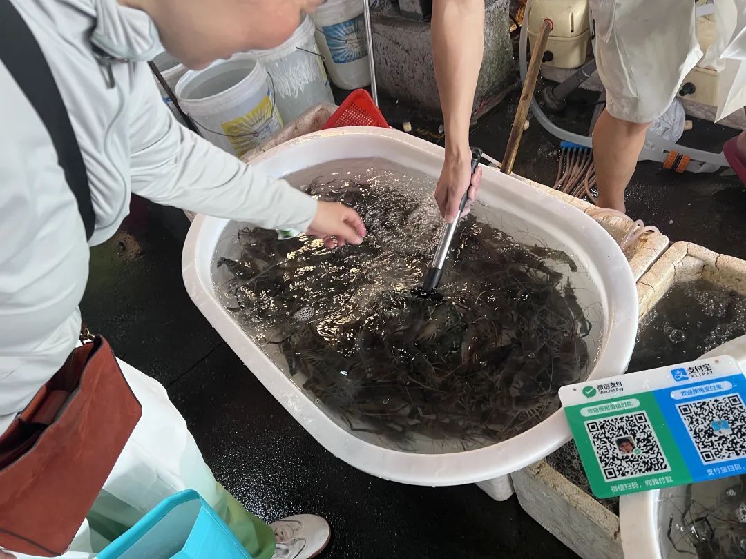 暴跌50%!杭州人爱吃的美味,今年产量暴增,老板:现在买最划算 暴跌50%!杭州人爱吃的美味,今年产量暴增,老板:现在买最划算