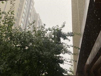 辽宁明起又迎强降雨！致灾气象风险较高，涉及这些地区→