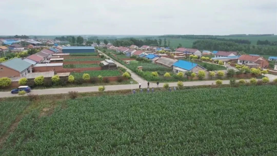 吉林省发现两件古代夫余国青铜器