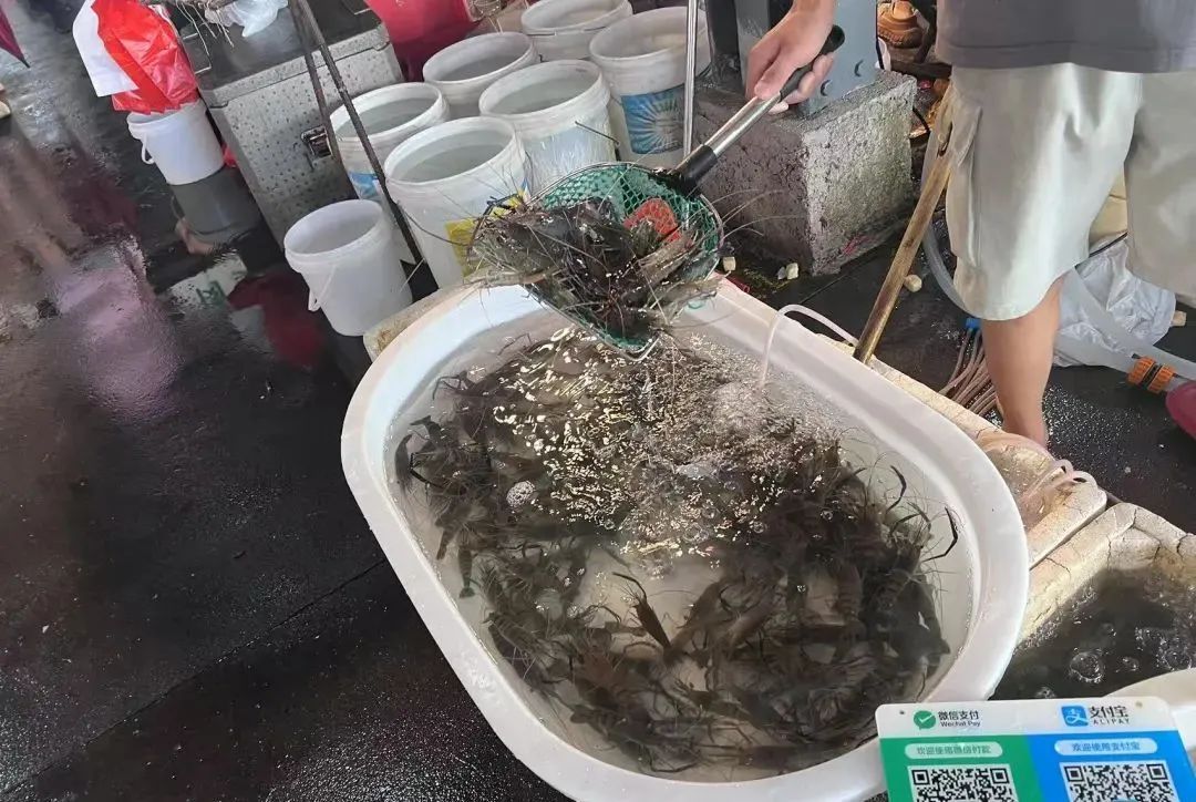 暴跌50%!杭州人爱吃的美味,今年产量暴增,老板:现在买最划算 暴跌50%!杭州人爱吃的美味,今年产量暴增,老板:现在买最划算