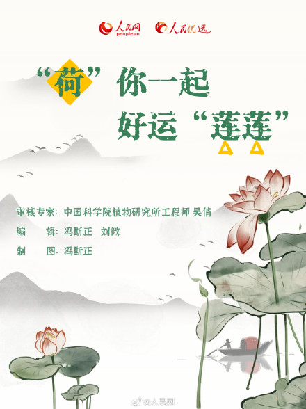 好运“莲”“莲”！夏日限定版荷花知识点