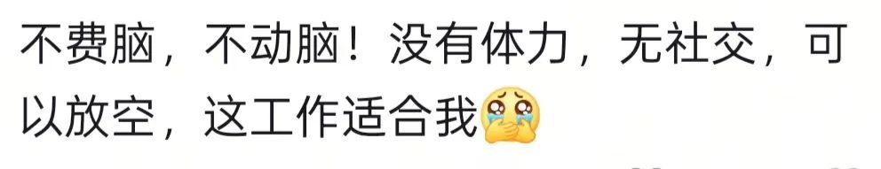 上海机场一“神仙工作”走红！网友：哪里可以应聘？