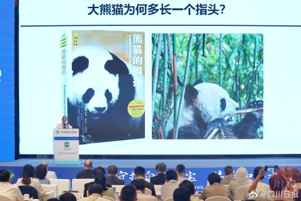 大熊猫为什么多一个趾头 有答案了 大熊猫为什么多一个趾头 有答案了