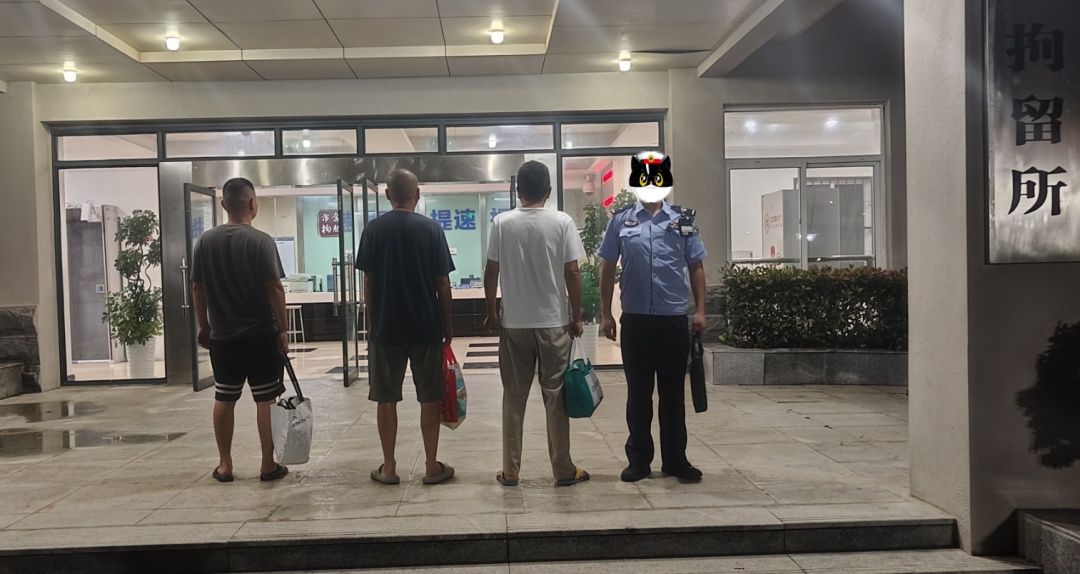 张某某等3人，非法倾倒垃圾被处以行政拘留！