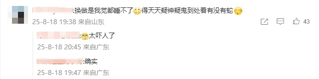 云南一对夫妻旅游回来差点吓傻，客厅爬满了蛇！源头竟是家中的…很多人都爱买