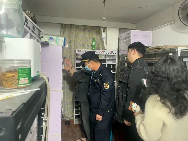 一打开门，房内竟有300多条蟒蛇！民警震惊了