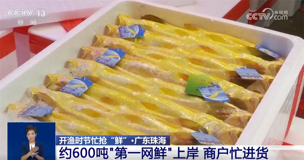 开渔时节抢“鲜”忙 交易市场人头攒动购销“火热” 开渔时节抢“鲜”忙 交易市场人头攒动购销“火热”