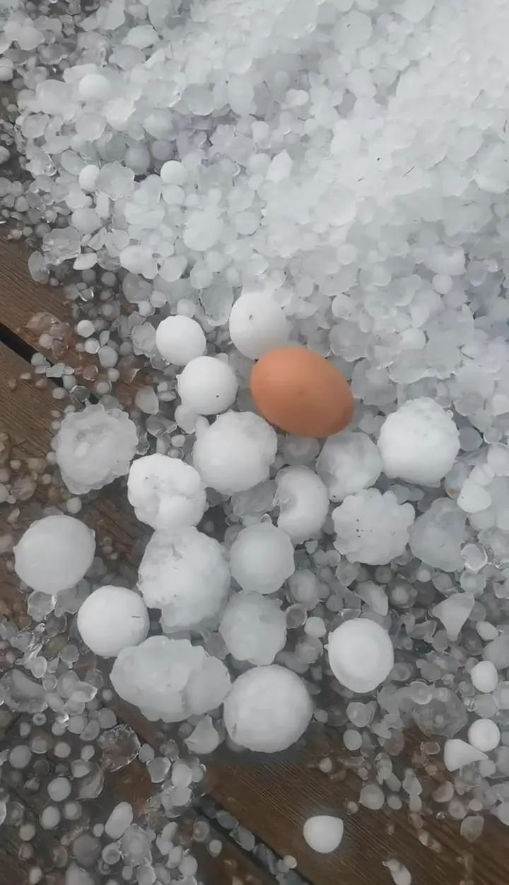 内蒙古额尔古纳市突降冰雹，最大如鸡蛋，持续约20分钟