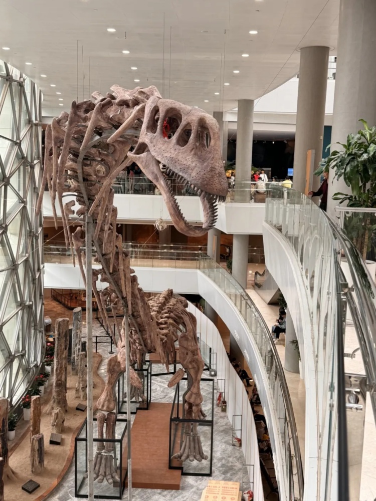 史前“巨婴”空降上海,曾流失海外20年 史前“巨婴”空降上海,曾流失海外20年