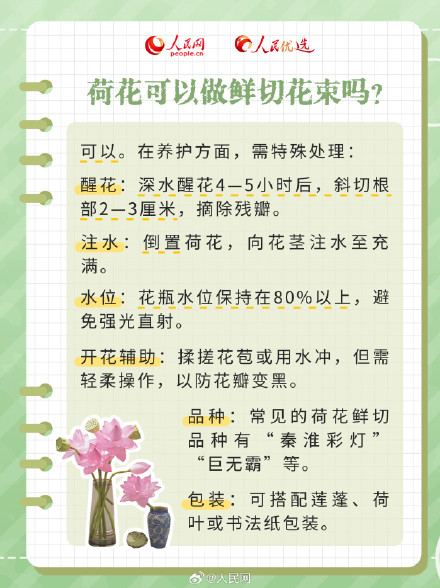 好运“莲”“莲”！夏日限定版荷花知识点