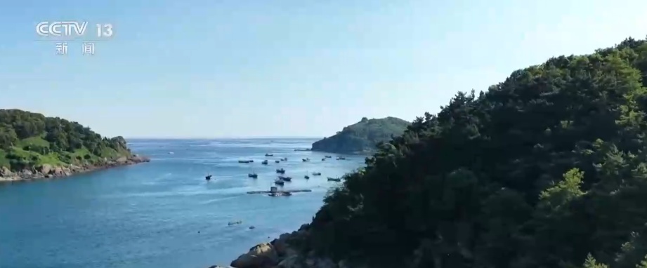 新赛道、新场景激活海岛旅游新活力 这份暑期深度玩海攻略请收好↓