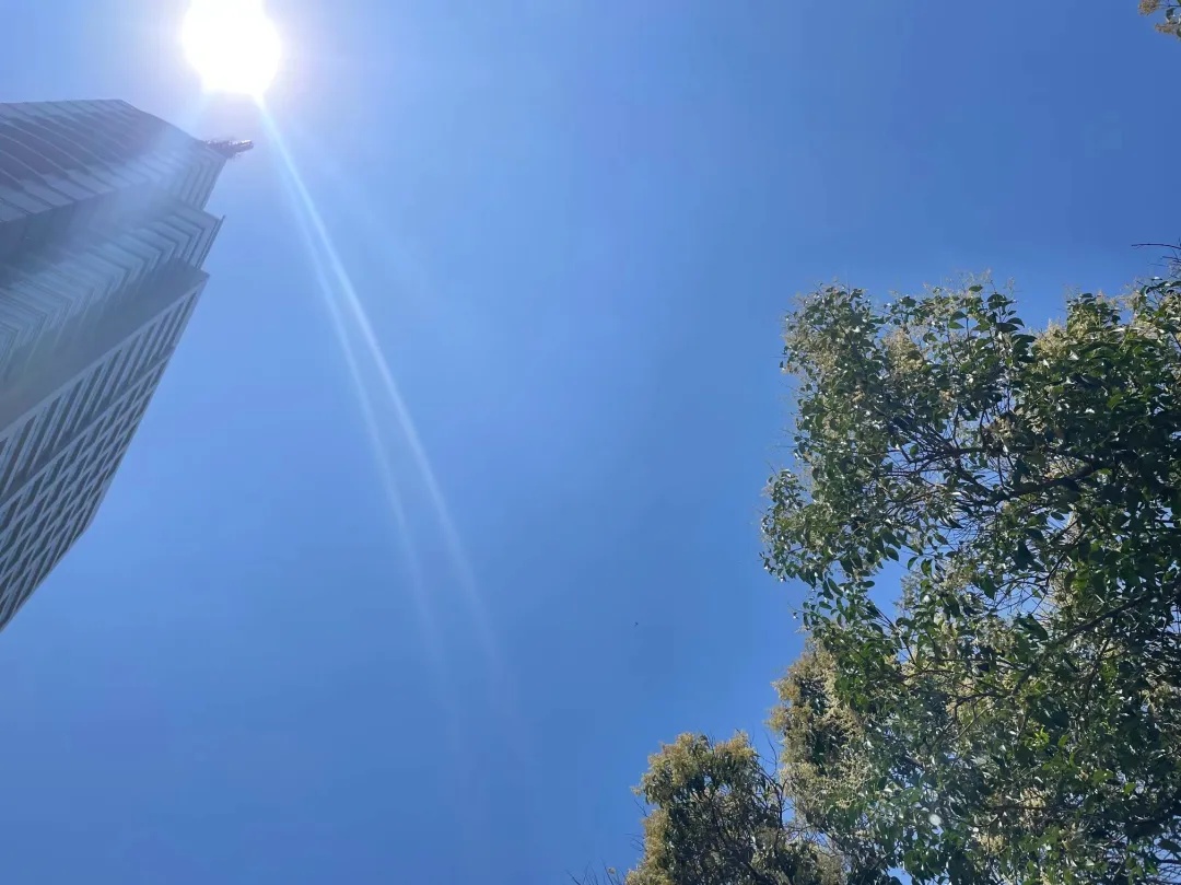 局部42℃！河南高温持续，郑州发布高温橙色预警！