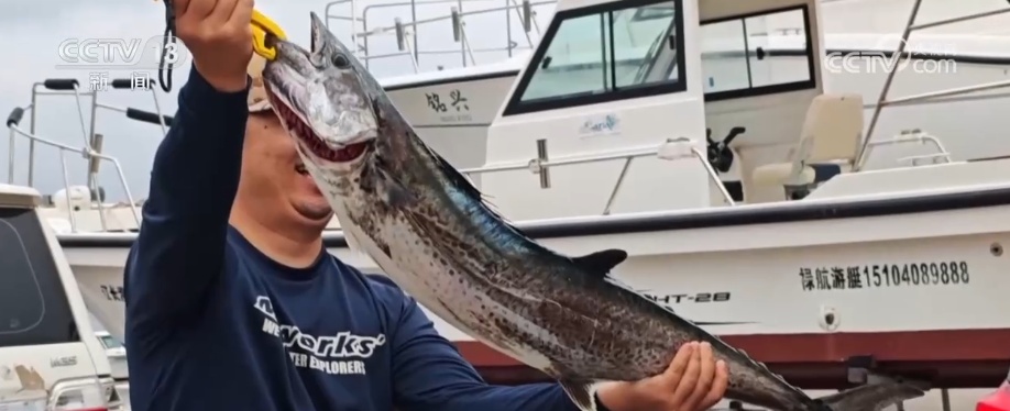 新赛道、新场景激活海岛旅游新活力 这份暑期深度玩海攻略请收好↓