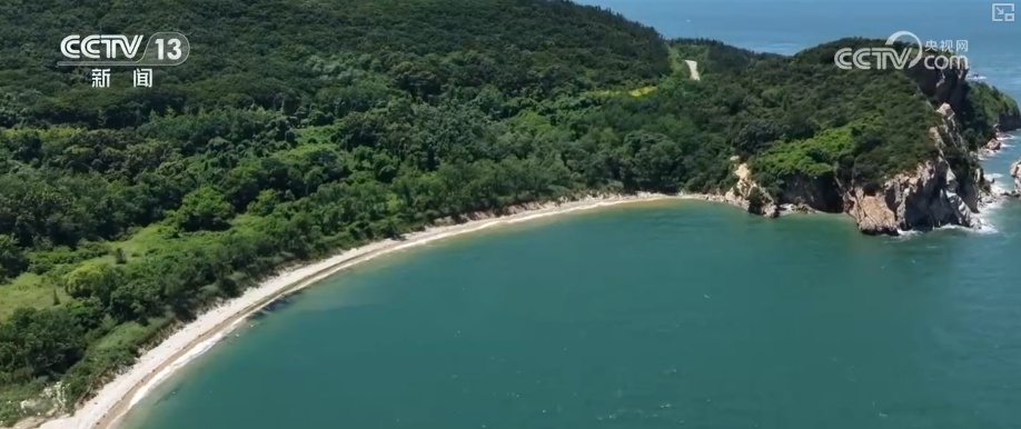 新赛道、新场景激活海岛旅游新活力 这份暑期深度玩海攻略请收好↓