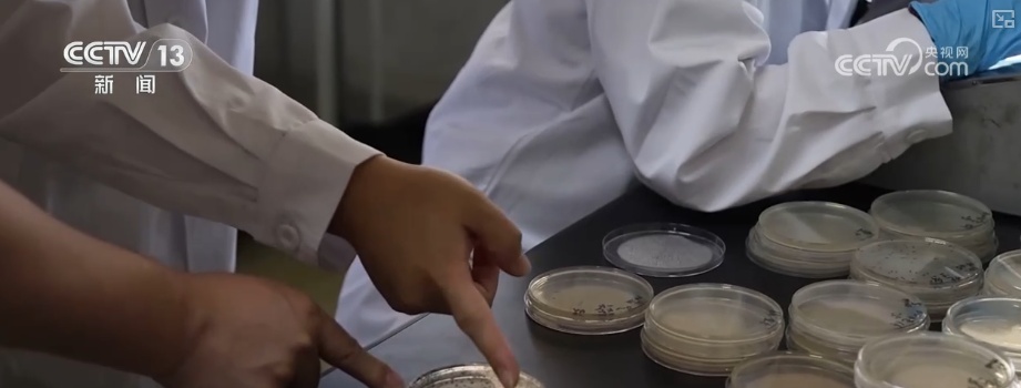 2799.4亿元，增长3.84%！冷链配送需求旺盛 新能源冷藏车成冷链运输“主力军”