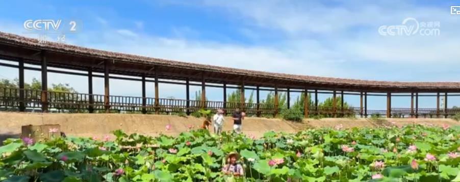 荷香四溢,果甜盈枝:夏日美食新体验 特色农业激活“舌尖经济” 荷香四溢,果甜盈枝:夏日美食新体验 特色农业激活“舌尖经济”