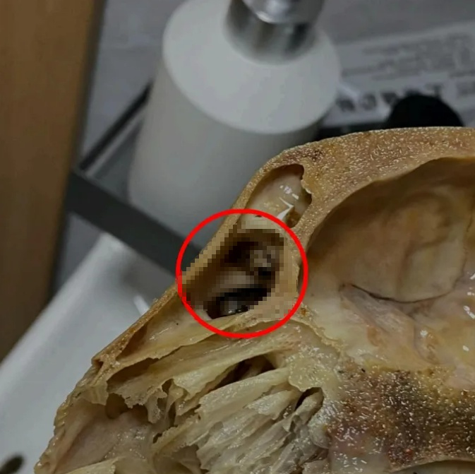 吃完外卖才发现里面全是蛆，男子呕吐一夜！上海法院判了