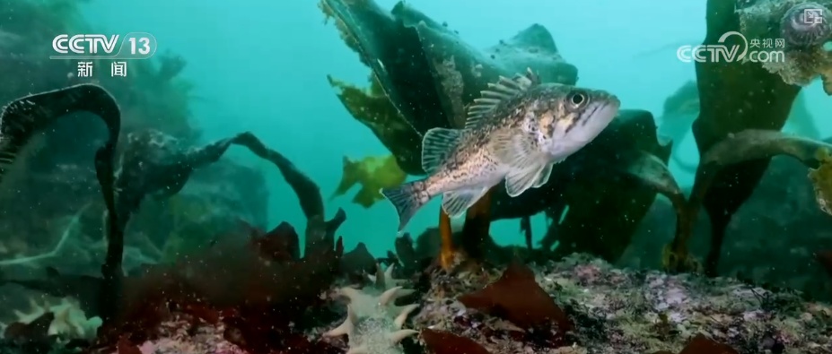 新赛道、新场景激活海岛旅游新活力 这份暑期深度玩海攻略请收好↓