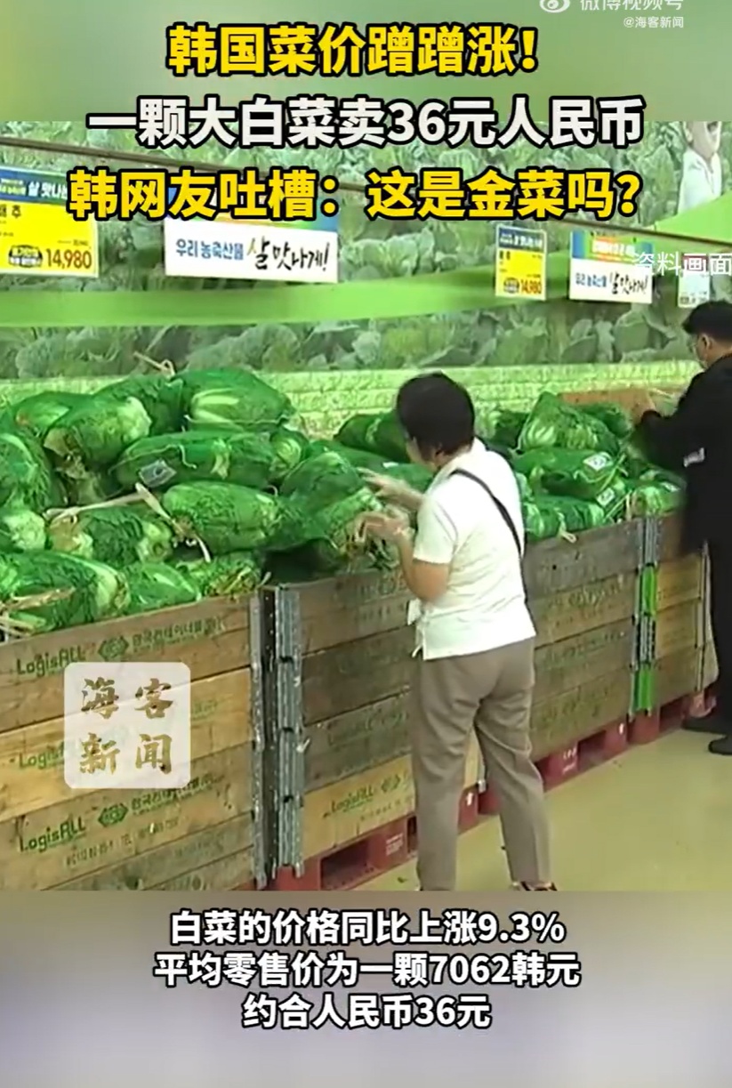 菜价蹭蹭涨！韩国一颗大白菜卖36元人民币