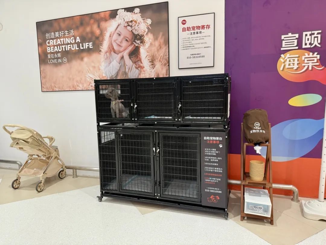 北京又一家“胖永辉”焕新开业！位置——