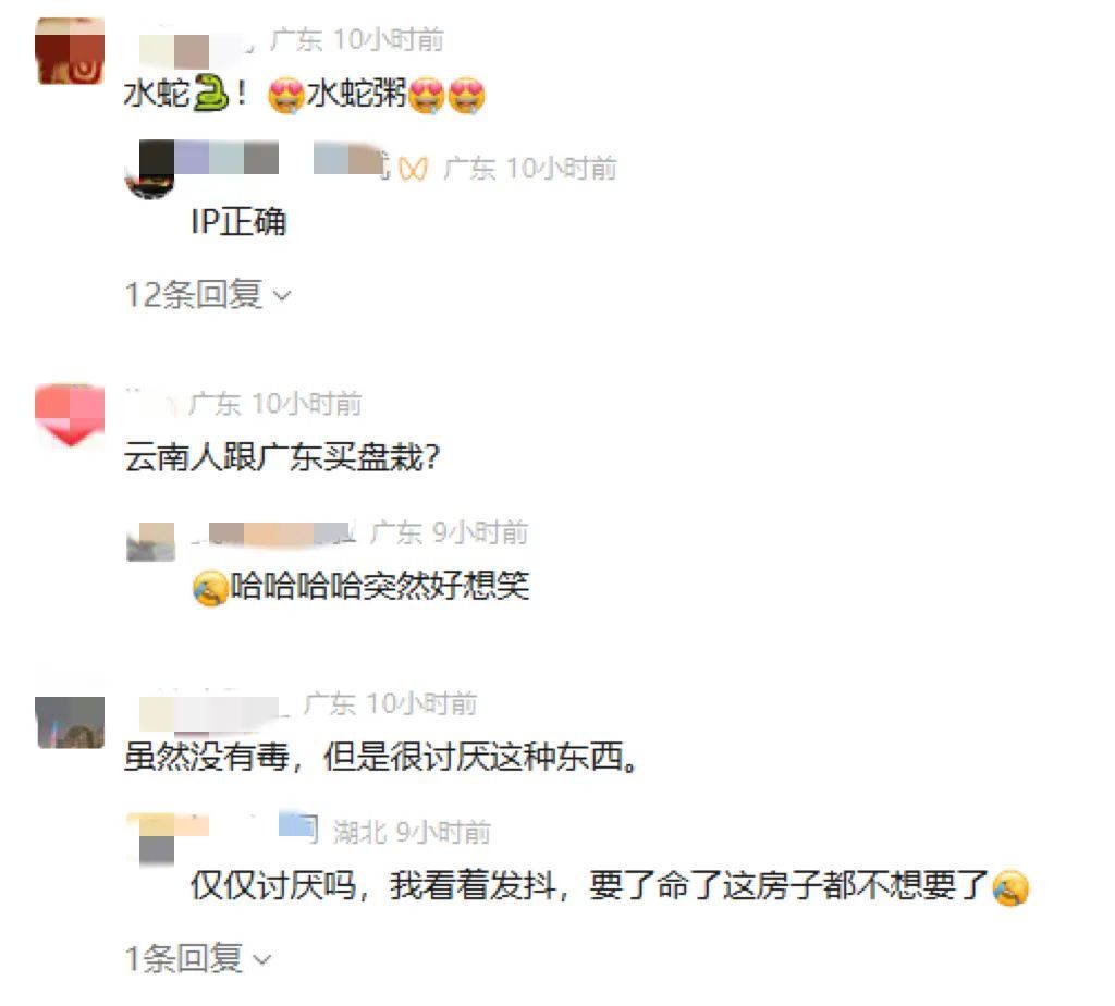 吓人！夫妻旅游回家，一开门发现客厅变“蛇窝”，大小10条爬满地…