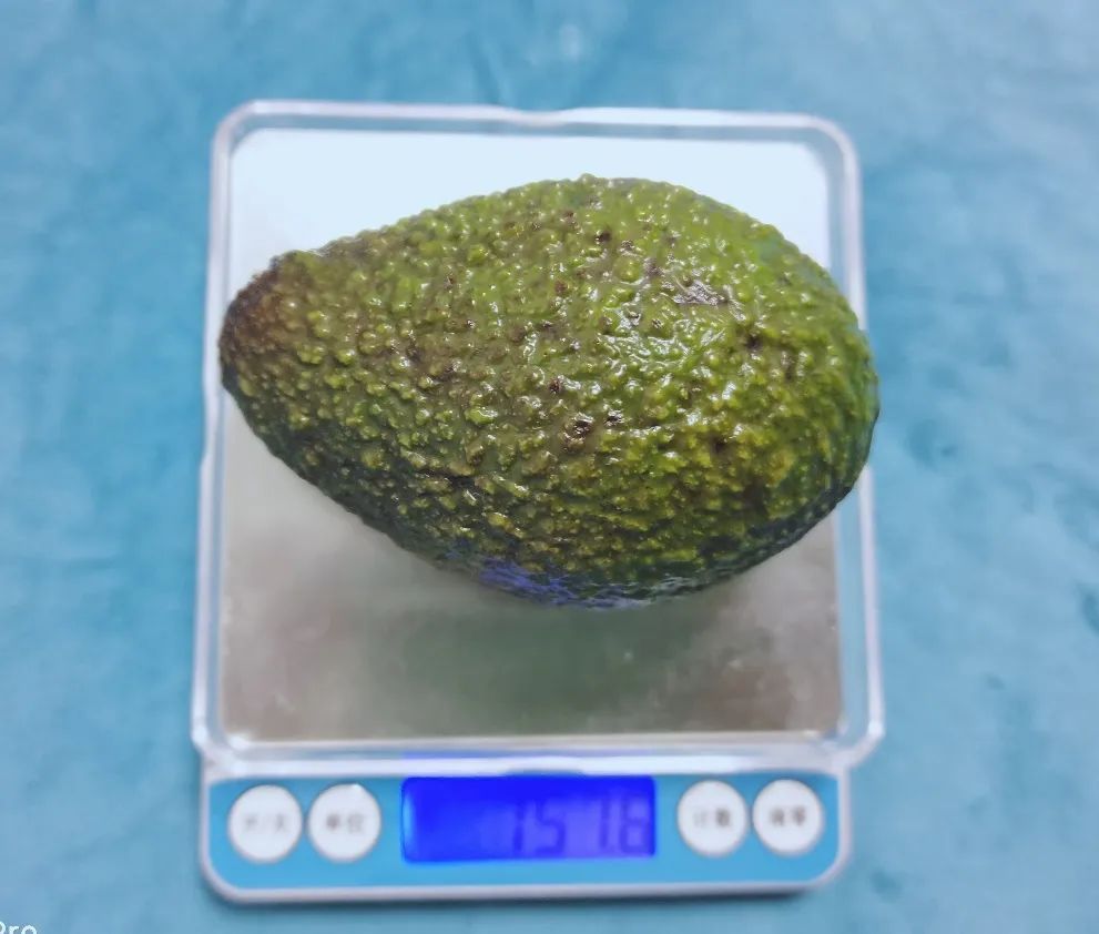 这种水果“油”很大 但能帮助女性瘦小腹减内脏脂肪