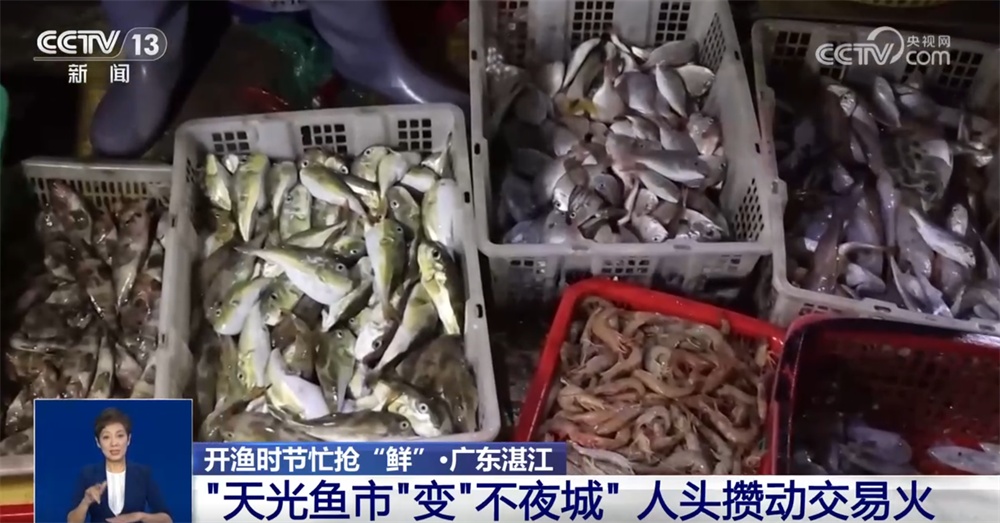 开渔时节抢“鲜”忙 交易市场人头攒动购销“火热” 开渔时节抢“鲜”忙 交易市场人头攒动购销“火热”