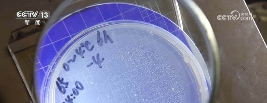 2799.4亿元，增长3.84%！冷链配送需求旺盛 新能源冷藏车成冷链运输“主力军”