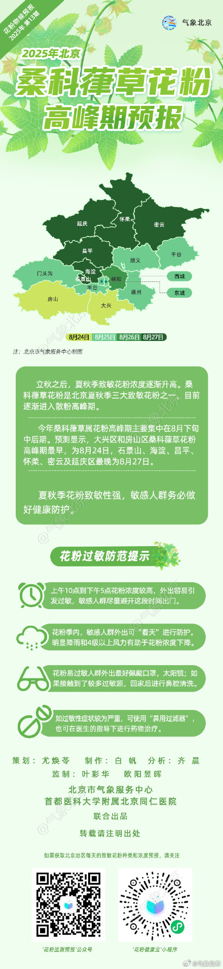 做好健康防护！北京桑科草花粉逐渐进入散粉高峰期