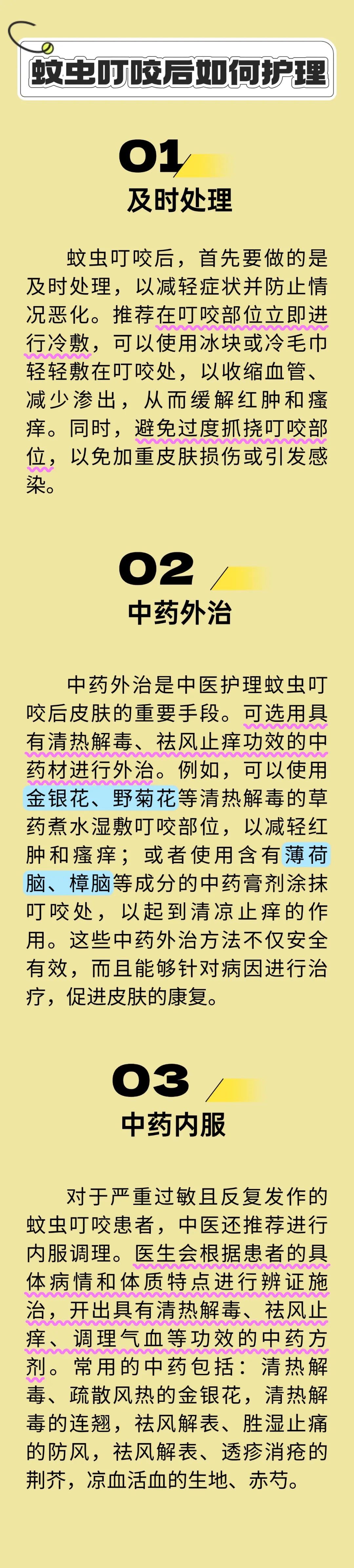 被蚊子追着咬？这几招中医智慧，守护您蚊虫不侵！