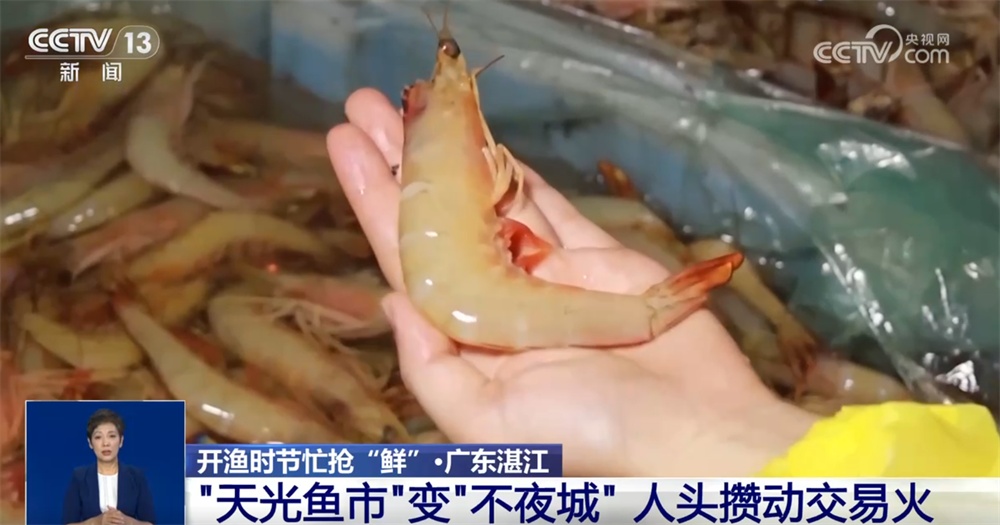 开渔时节抢“鲜”忙 交易市场人头攒动购销“火热” 开渔时节抢“鲜”忙 交易市场人头攒动购销“火热”