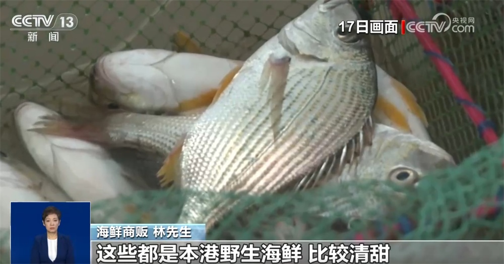 开渔时节抢“鲜”忙 交易市场人头攒动购销“火热” 开渔时节抢“鲜”忙 交易市场人头攒动购销“火热”