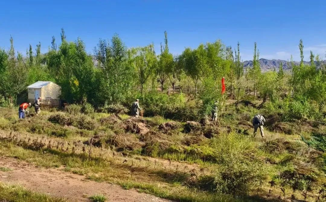 内蒙古调动1600多人，“地毯式”搜救因山洪失联人员