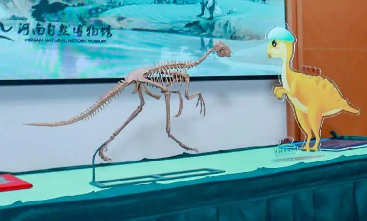 史前“巨婴”空降上海,曾流失海外20年 史前“巨婴”空降上海,曾流失海外20年