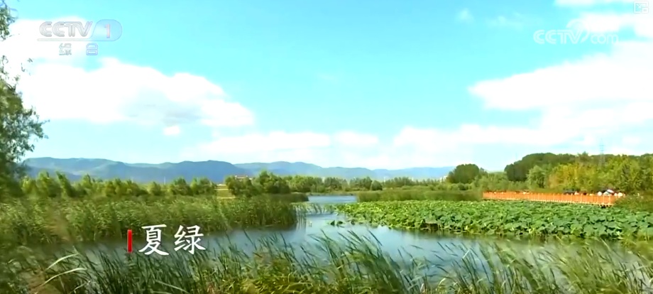 天蓝、地绿、水清共绘多彩生态画卷 生态治理擦亮城市名片 | 看见美丽中国