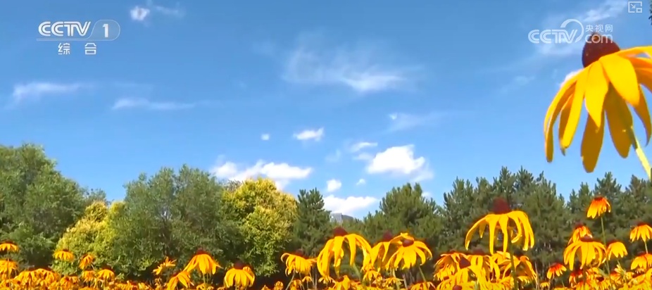 天蓝、地绿、水清共绘多彩生态画卷 生态治理擦亮城市名片 | 看见美丽中国