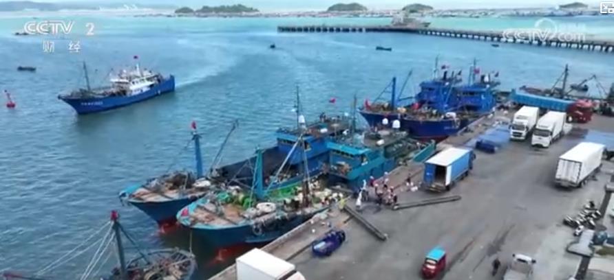 渔满舱、芡实肥、莲蓬香！秋收正当时，多地奏响“陆海丰收交响曲”