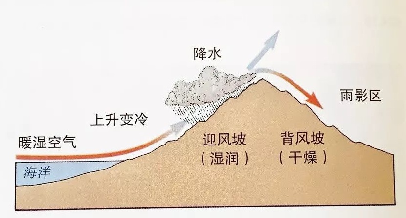 阵雨频繁，下雨的时候打雷，就是雷阵雨吗？