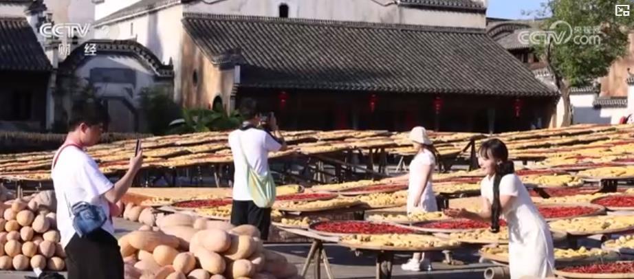 古村晒秋“调色盘”、天山麦浪“金地毯” &nbsp;中国南北独特秋日“丰景”美如画卷