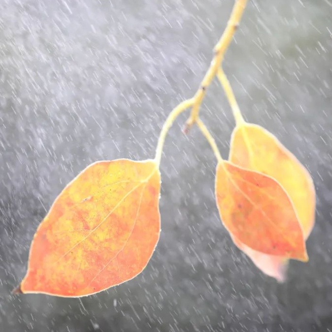 今日出伏|秋声已如许,残暑何足驱 今日出伏|秋声已如许,残暑何足驱