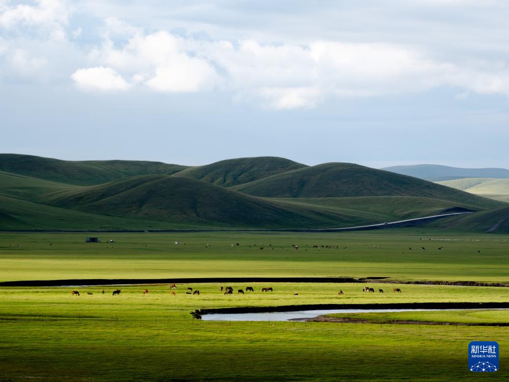 秋日呼伦贝尔大草原