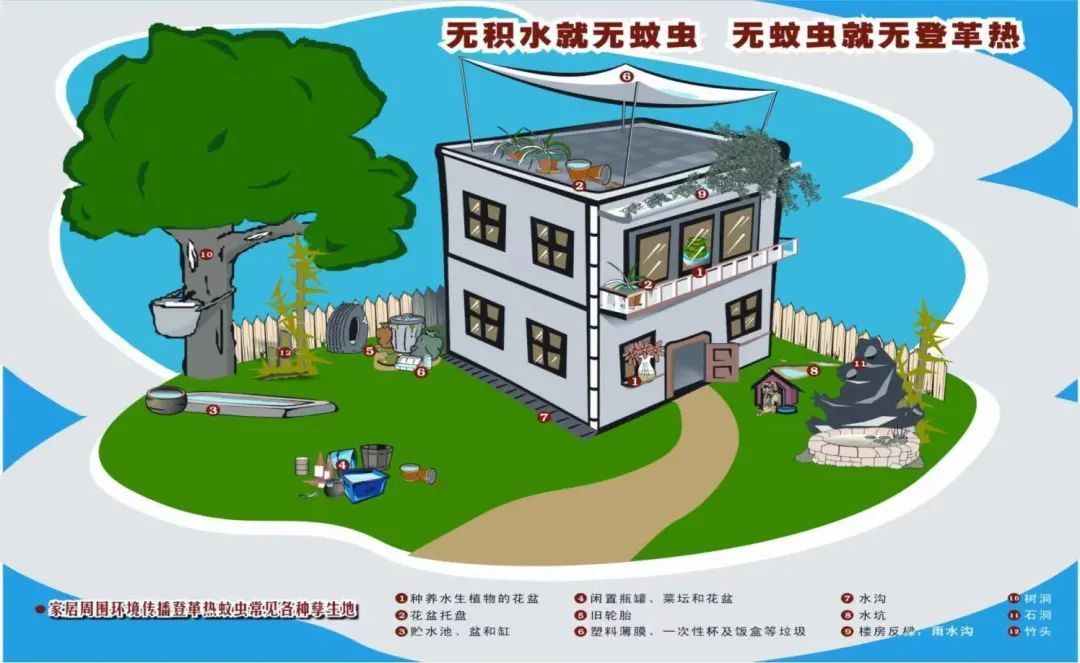 雨后高温高湿，小心这几种蚊子！防护方法——