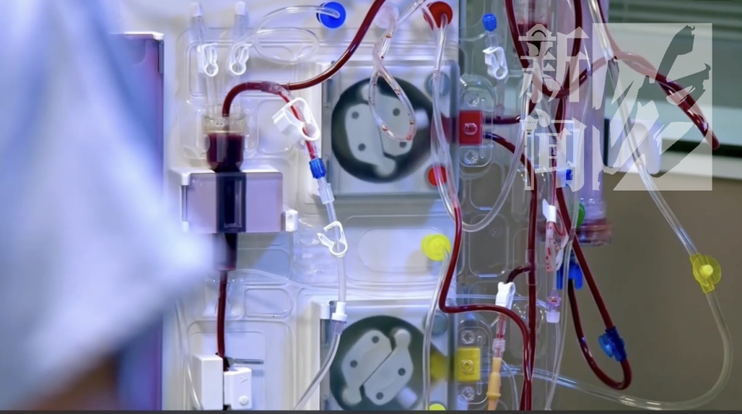 上海"富家女"花光父亲遗产，"吸血"姐姐！身边人都没放过