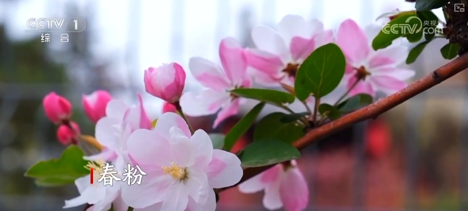 天蓝、地绿、水清共绘多彩生态画卷 生态治理擦亮城市名片 | 看见美丽中国