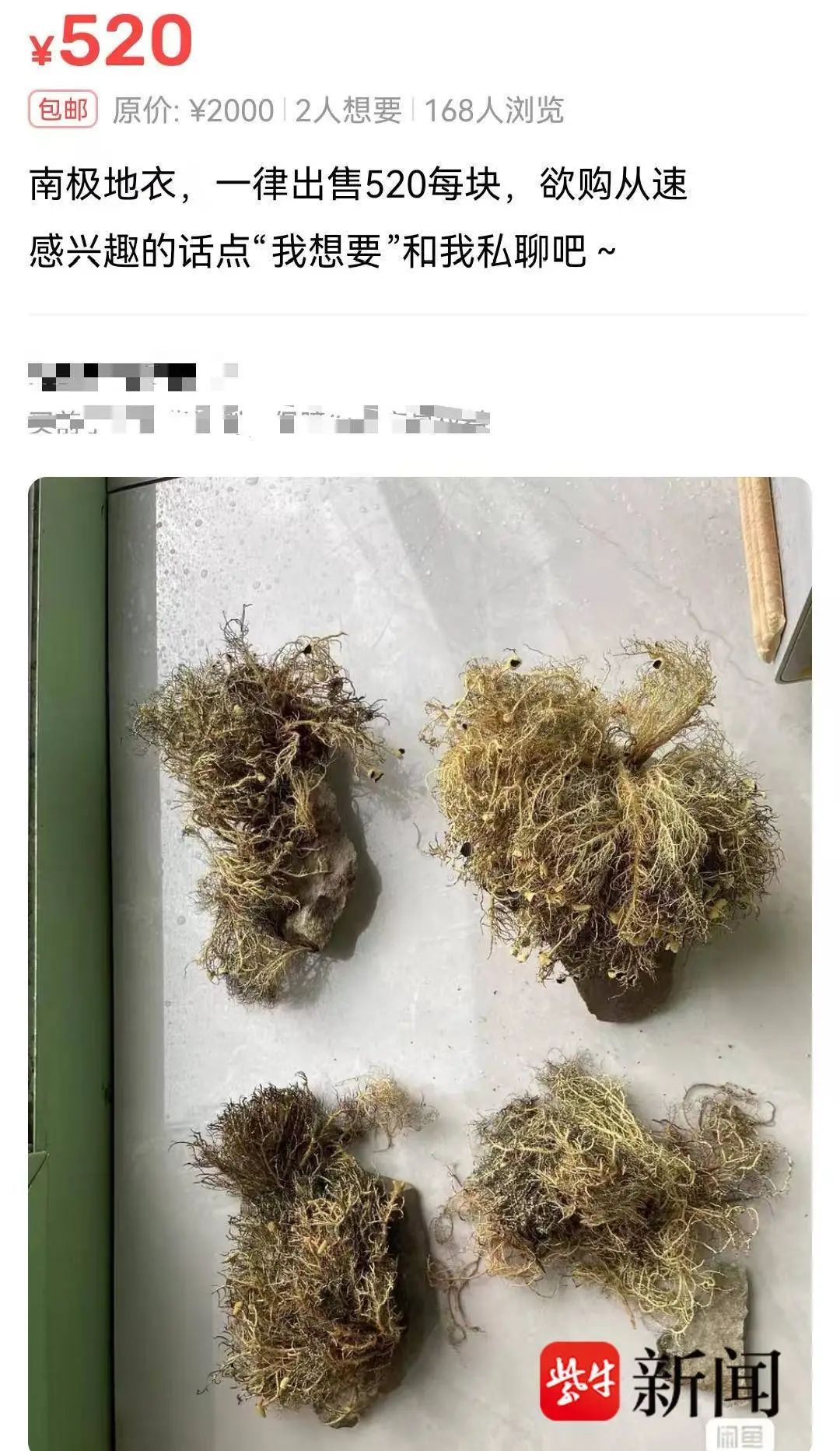 100年只能生长1毫米的“南极地衣”惊现交易平台！